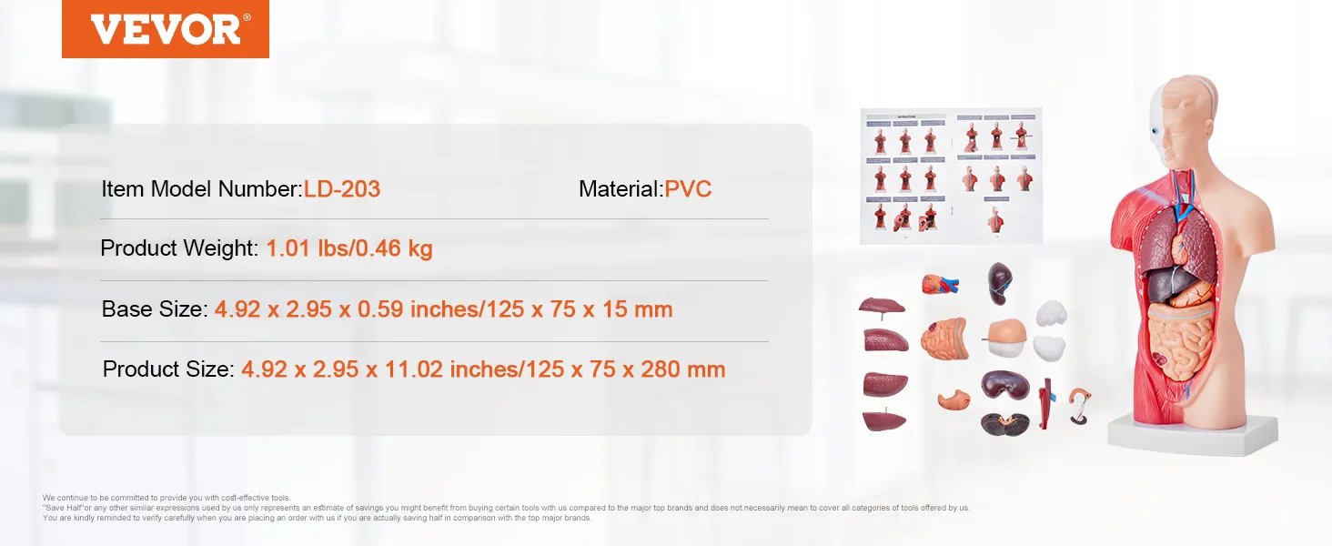 VEVOR human body model, 11.02 inches tall, detachable organs, pvc material, item ld-203, 1.01 lbs weight.
