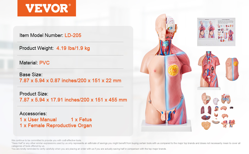 anatomy-model-a100-1.11-pt.jpg