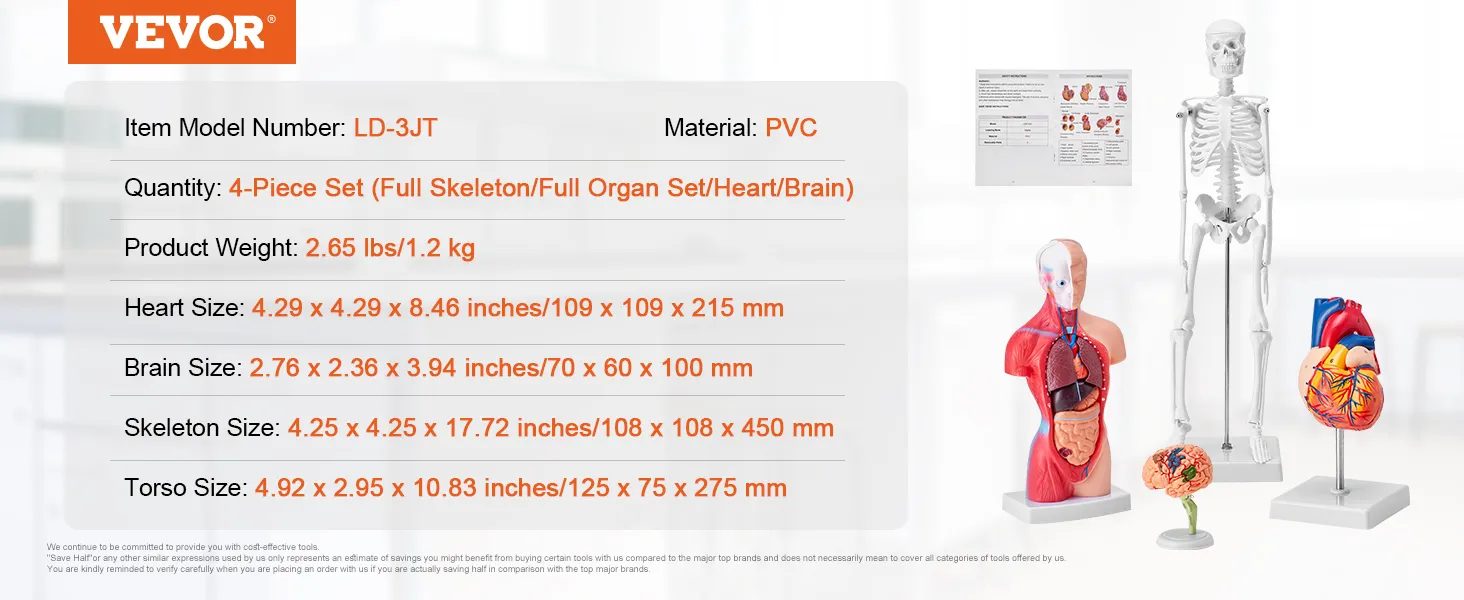 VEVOR anatomy models 4-piece set includes full skeleton, organ set, heart, and brain models made of pvc.