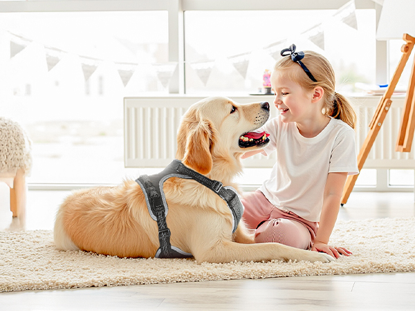 VEVOR Hundeknieorthese Bei Kreuzbandriss & Arthritis – Verstellbar, Mit Metallscharnier, Für Linkes & Rechtes Hinterbein