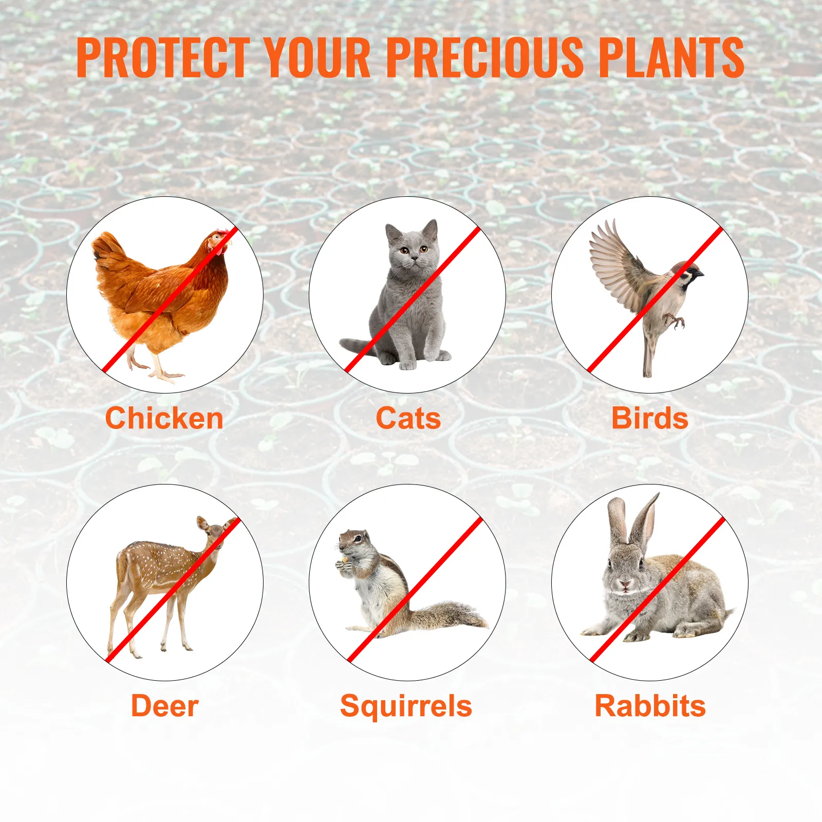 Proteja las plantas de pollos, gatos, pájaros, ciervos, ardillas y conejos con la campana de alambre para gallinero VEVOR.