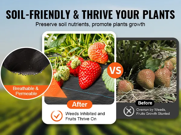 soil-friendly VEVOR weed barrier fabric demonstrating lush strawberries and enhanced plant growth.