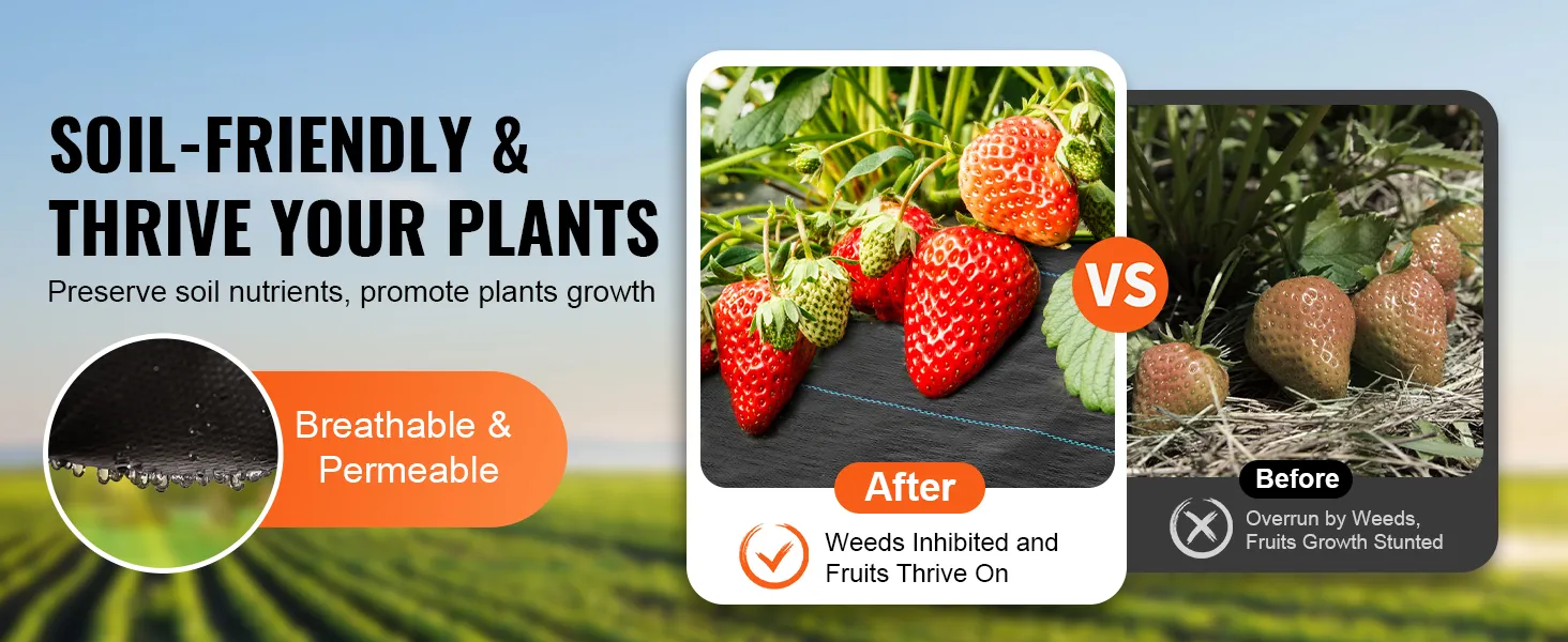 soil-friendly VEVOR weed barrier fabric demonstrating lush strawberries and enhanced plant growth.