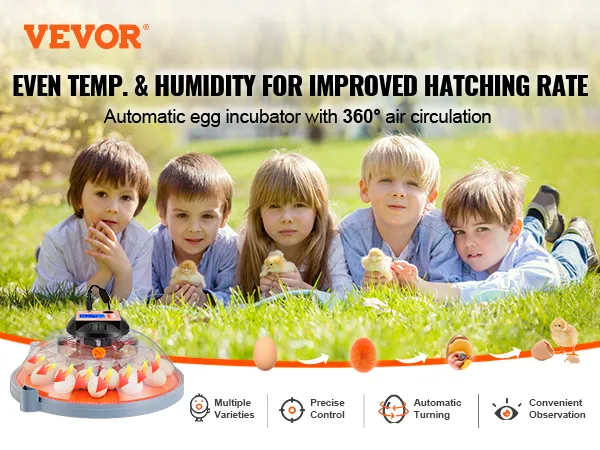 Incubadora de huevos VEVOR con giro automático y circulación de aire de 360° para una mejor tasa de eclosión.