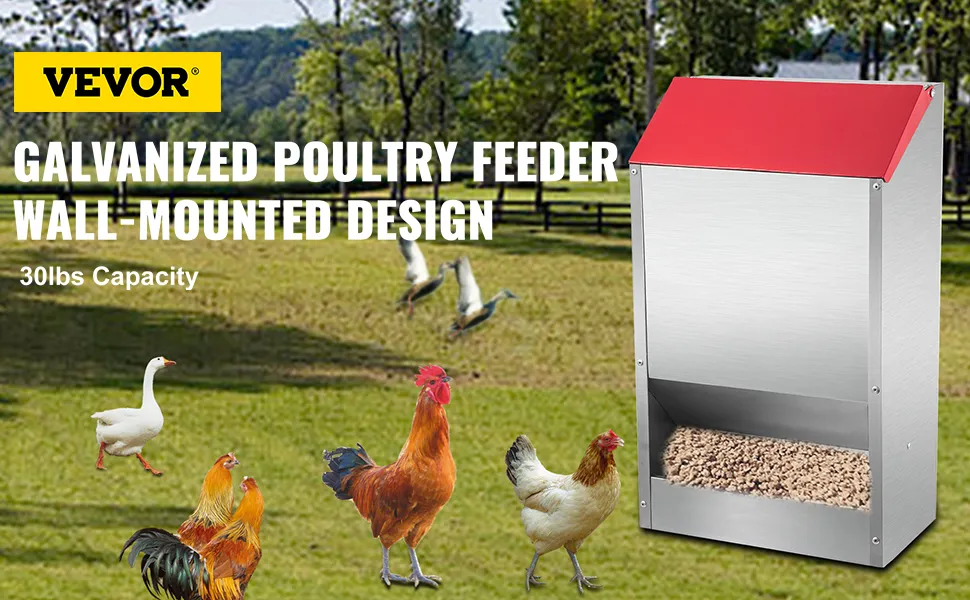 VEVOR galvanized poultry feeder with 30lbs capacity, chickens and geese in background.