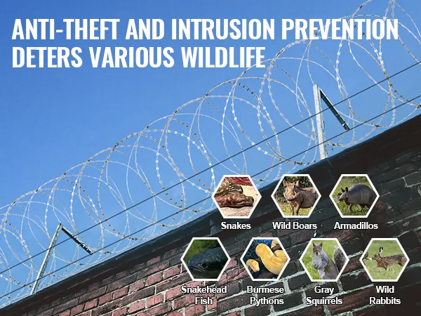 VEVOR razor wire fence over brick wall deterring wildlife like snakes, wild boars, and armadillos.