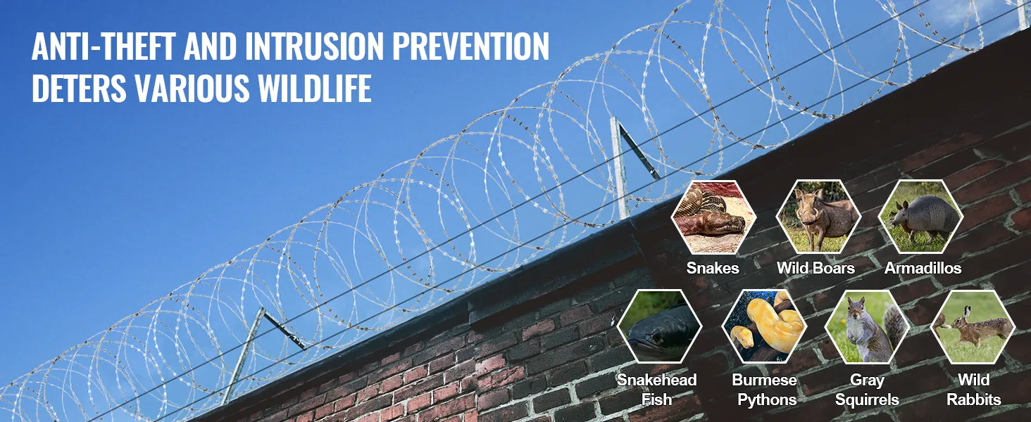 VEVOR razor wire fence over brick wall deterring wildlife like snakes, wild boars, and armadillos.