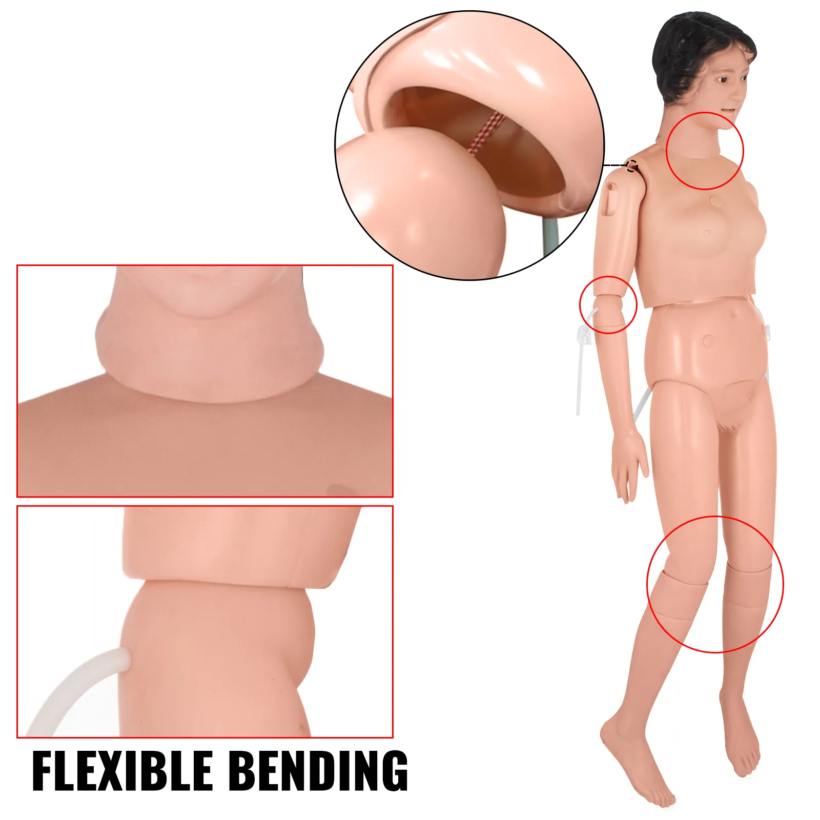 Maniquí de entrenamiento médico VEVOR con articulaciones flexibles y características realistas.