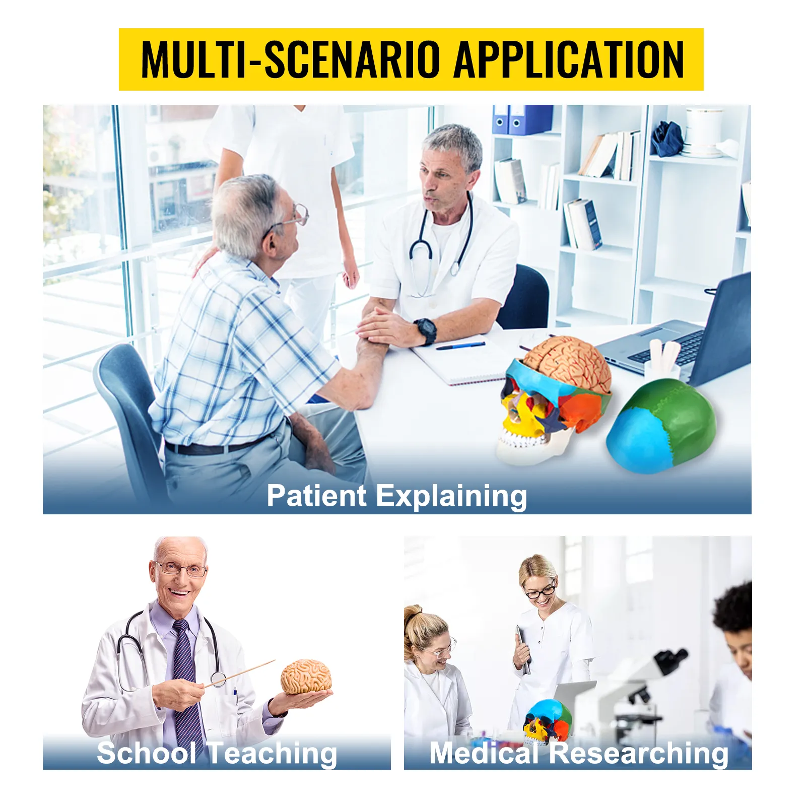 multi-scenario application of VEVOR human skull model for patient explaining, teaching, research