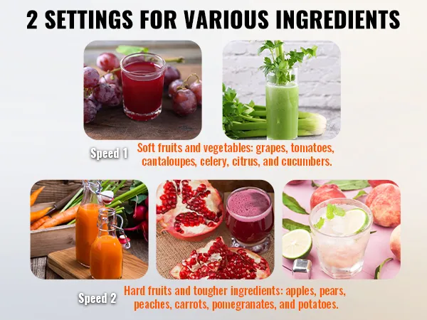 VEVOR juicer machine with two settings for soft fruits and vegetables, and hard fruits and tougher ingredients.