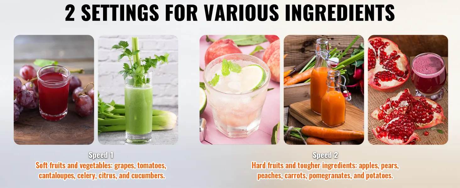 VEVOR juicer machine with two settings for soft fruits and vegetables, and hard fruits and tougher ingredients.