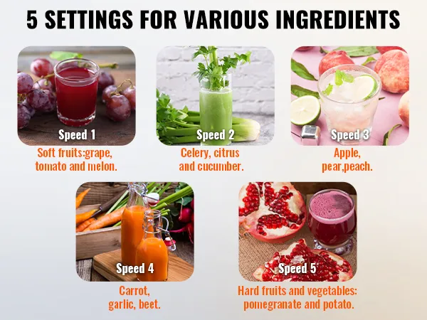 VEVOR juicer machine showcases 5 speed settings for fruits and vegetables like grapes, celery, and pomegranate.