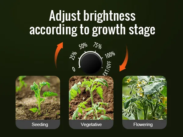 adjustable brightness for VEVOR led grow light with seeding, vegetative, and flowering stages.