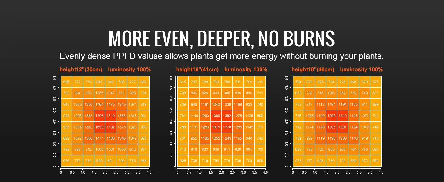 Gráficos ppfd para luz de cultivo LED VEVOR a alturas de 12", 16" y 18". Distribución uniforme de la luz.