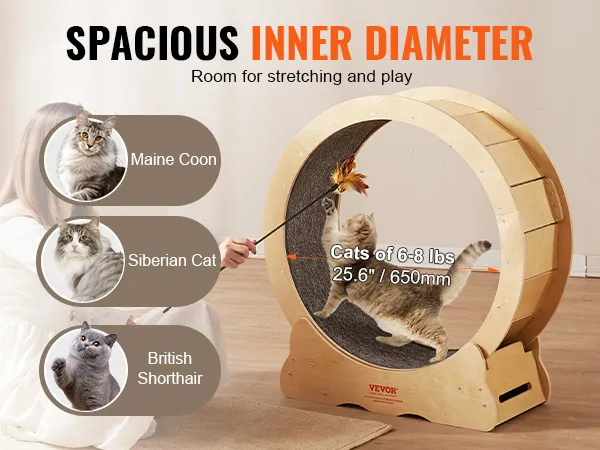 VEVOR cat exercise wheel with spacious inner diameter for cats of 6-8 lbs, ideal for maine coon, siberian, and british shorthair cats.