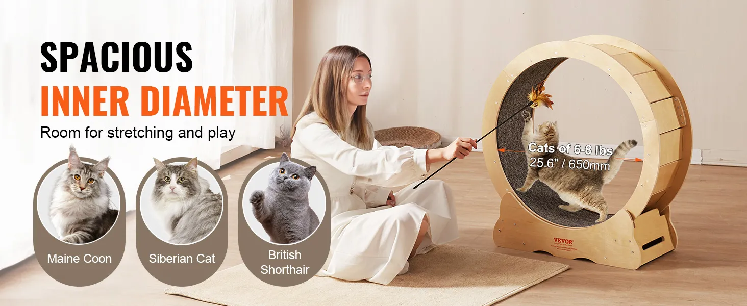 VEVOR cat exercise wheel with spacious inner diameter for cats of 6-8 lbs, ideal for maine coon, siberian, and british shorthair cats.