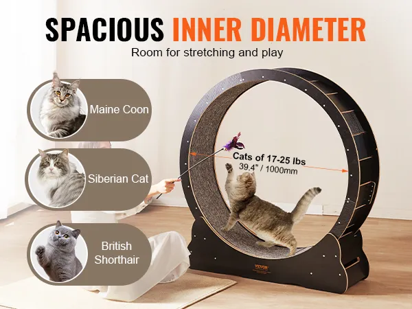 VEVOR cat exercise wheel - spacious inner diameter, suitable for maine coon, siberian cat, british shorthair.