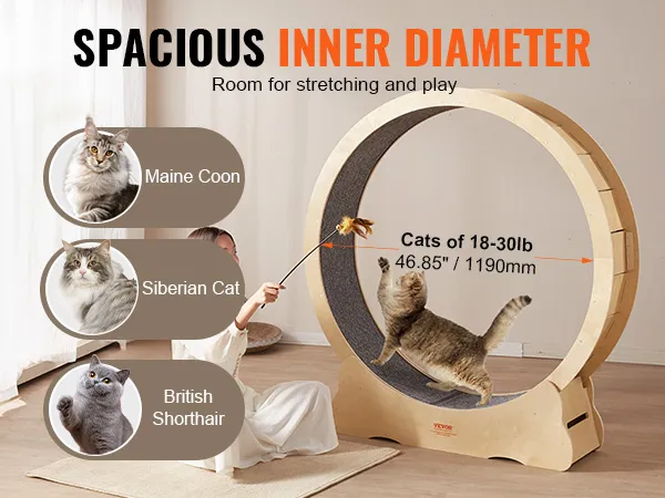 VEVOR cat exercise wheel with spacious inner diameter for maine coon, siberian cat, british shorthair.