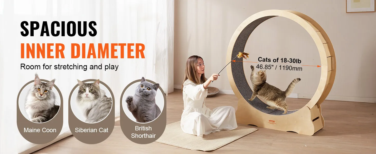 VEVOR cat exercise wheel with spacious inner diameter for maine coon, siberian cat, british shorthair.
