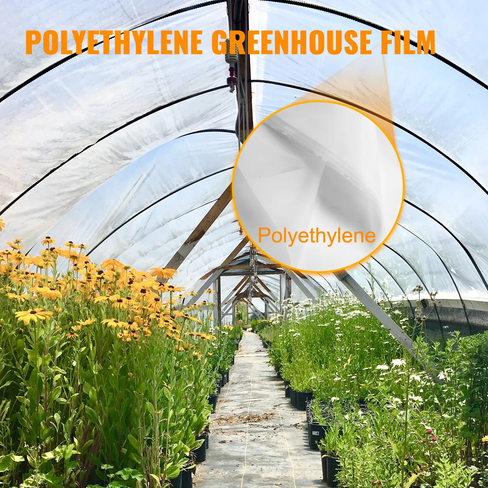 VEVOR greenhouse film covering a thriving garden with yellow flowers and wooden supports.