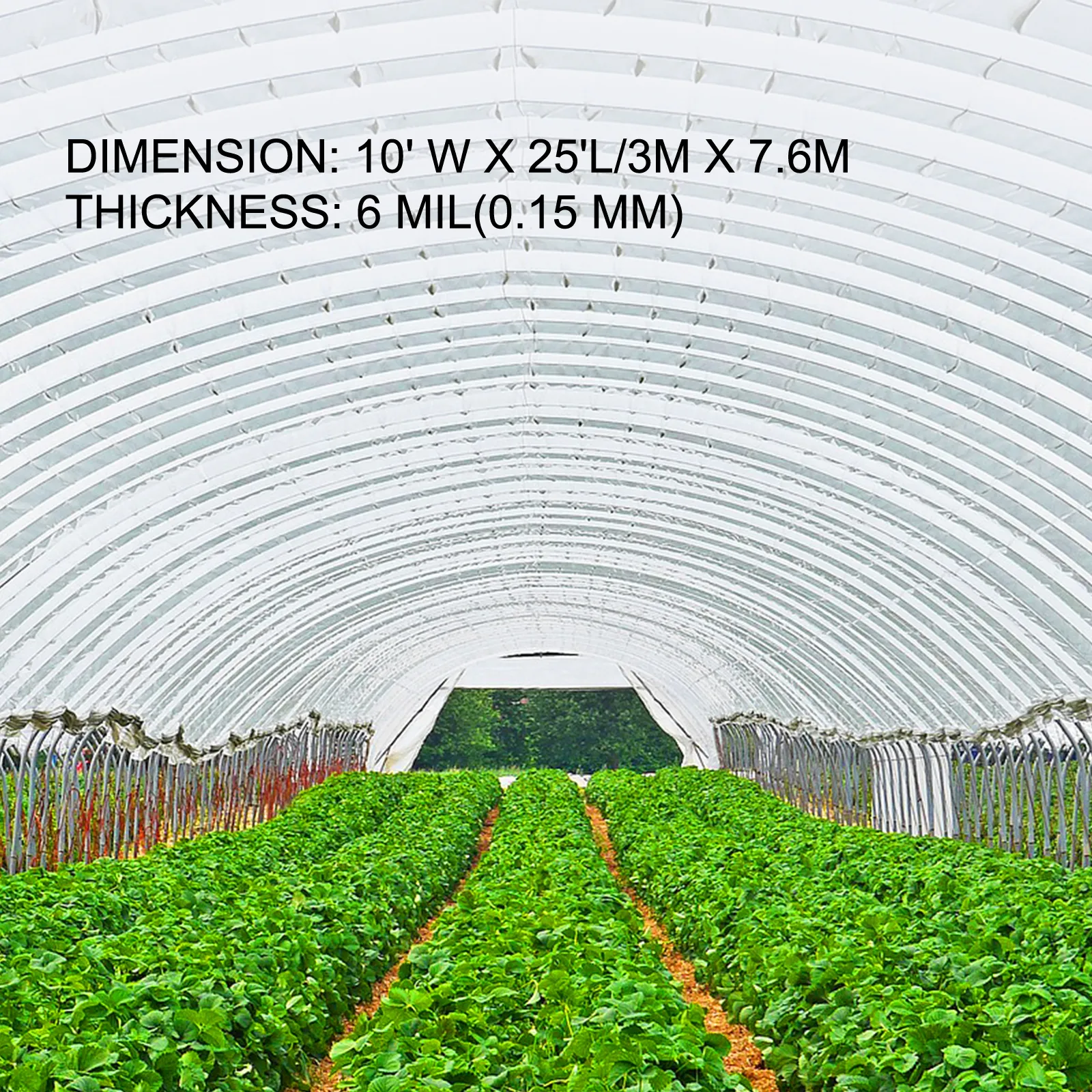 greenhouse interior with VEVOR greenhouse film, rows of green plants, and arched structure.