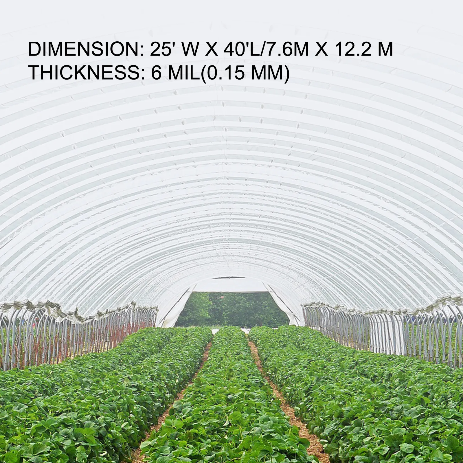 VEVOR greenhouse film covering large garden with rows of green plants inside.