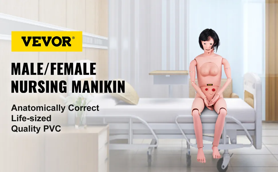 Maniquí de enfermería VEVOR sentado en una sala médica, de tamaño natural y anatómicamente correcto.