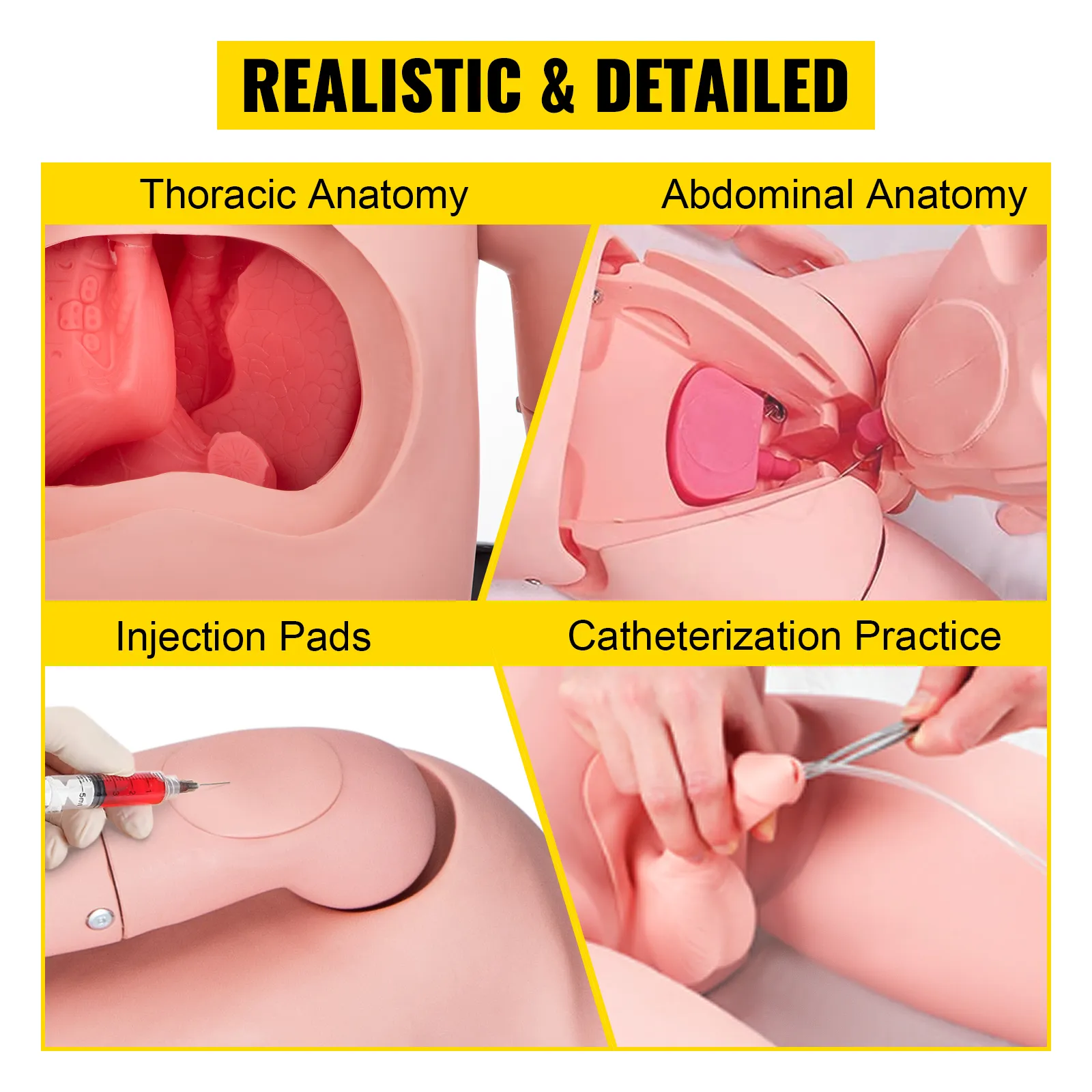 Maniquí de enfermería VEVOR con anatomía torácica y abdominal, almohadillas de inyección y cateterización.
