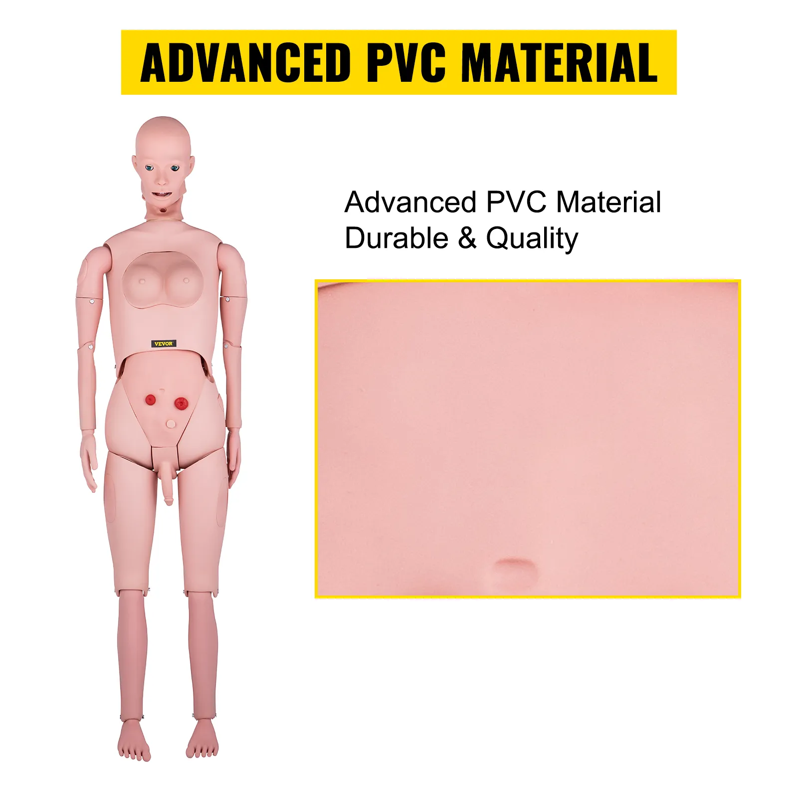 Maniquí de enfermería VEVOR con material de pvc avanzado, diseño duradero y de calidad.