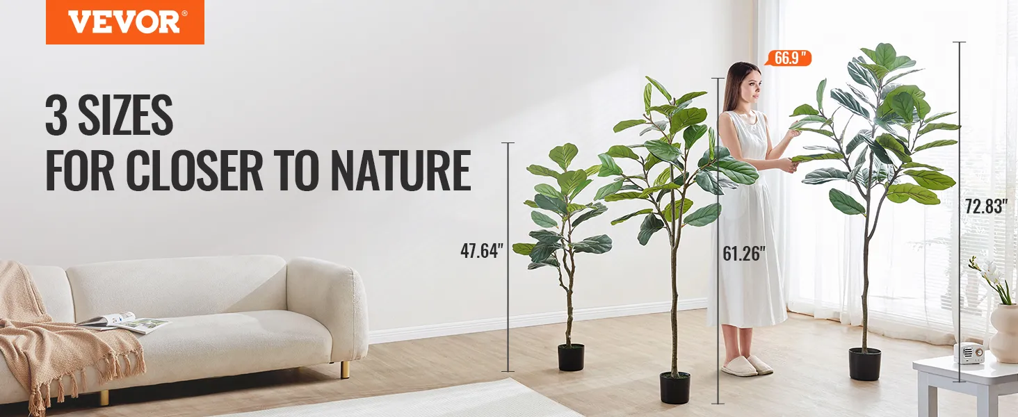 VEVOR artificial fiddle leaf fig tree in 3 sizes with a sofa and a person adjusting the tallest tree.