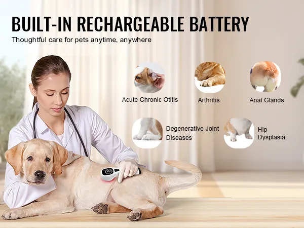 dierenarts gebruikt het VEVOR-apparaat voor roodlichttherapie op een labrador en behandelt chronische aandoeningen, met zes aandoeningspictogrammen.