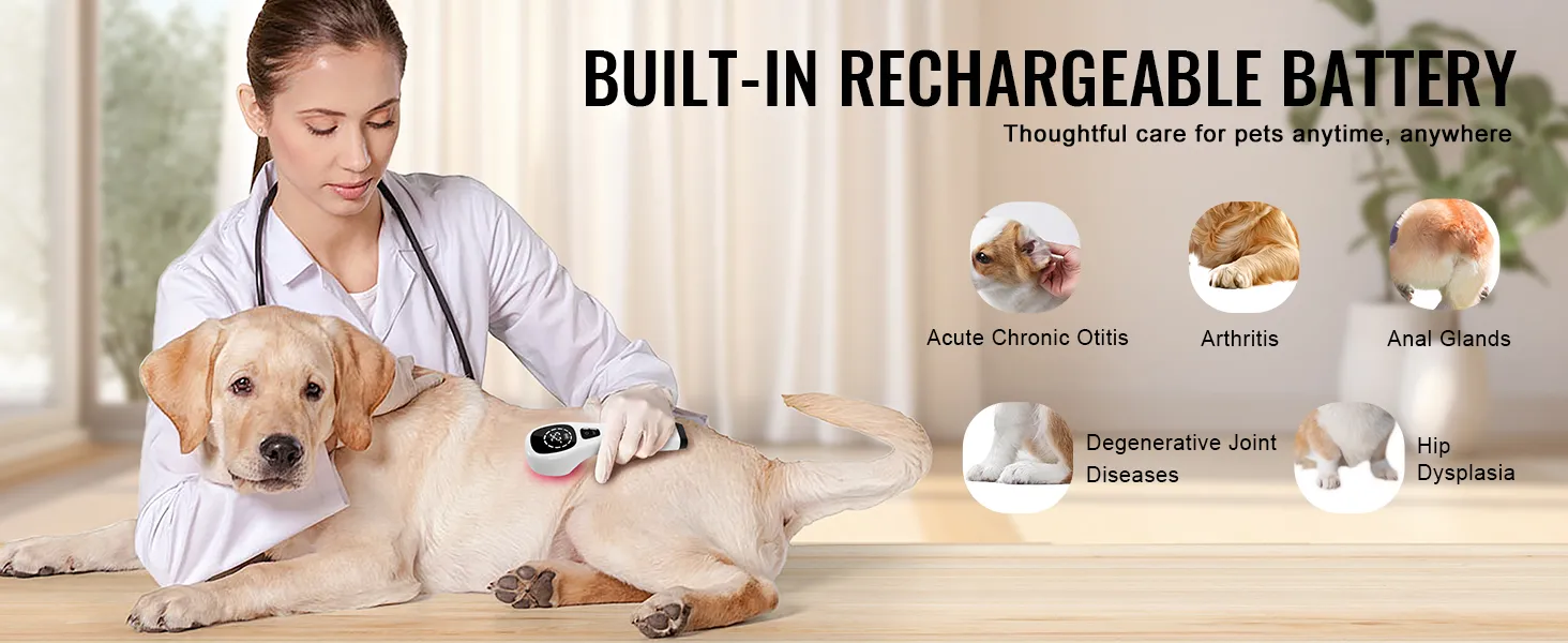 dierenarts gebruikt het VEVOR-apparaat voor roodlichttherapie op een labrador en behandelt chronische aandoeningen, met zes aandoeningspictogrammen.