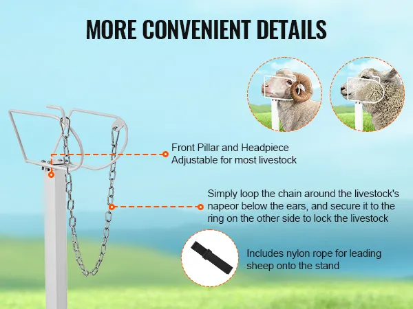 VEVOR livestock stand features adjustable front pillar, headpiece, chain, and nylon rope for sheep.