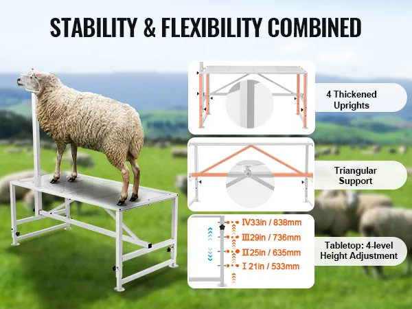 VEVOR livestock stand showcasing a sheep, 4 thickened uprights, triangular support, and 4-level height adjustment.