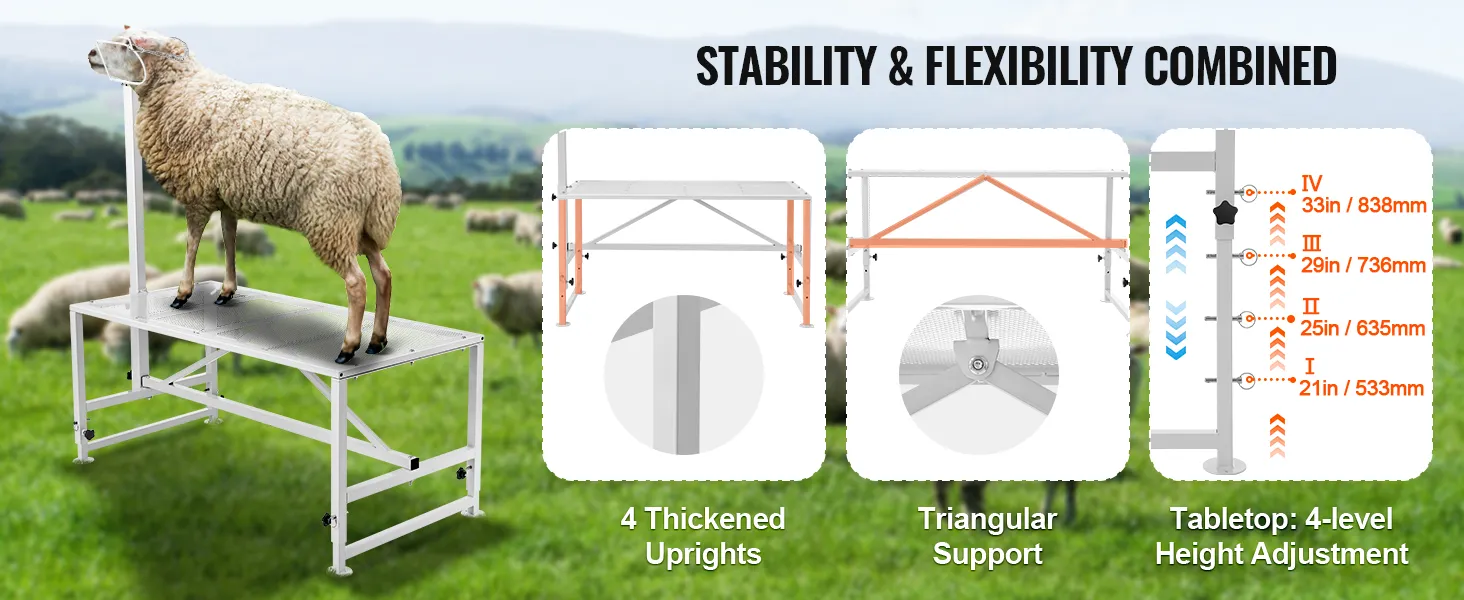 VEVOR livestock stand showcasing a sheep, 4 thickened uprights, triangular support, and 4-level height adjustment.