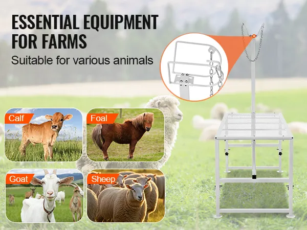 VEVOR livestock stand shown with goats, sheep, calves, and foals in a farm setting. essential for farm animals.