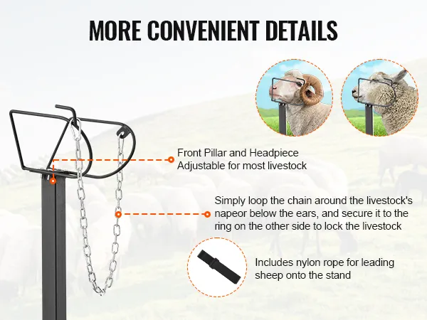 VEVOR geiten- en schapenstandaard met verstelbare voorzuil, kopstuk, kettinglus en nylon touw voor eenvoudige controle over het vee.