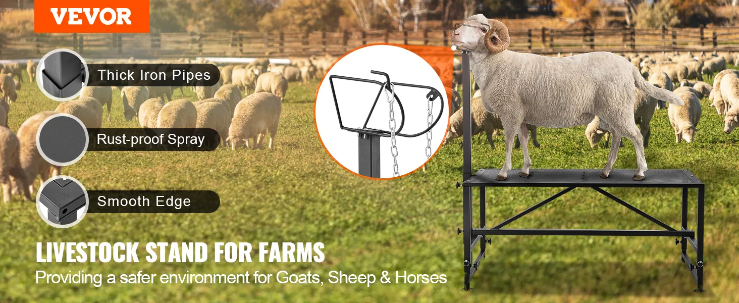 VEVOR goat & sheep stand: thick iron pipes, rust-proof spray, smooth edge, sheep in the background.