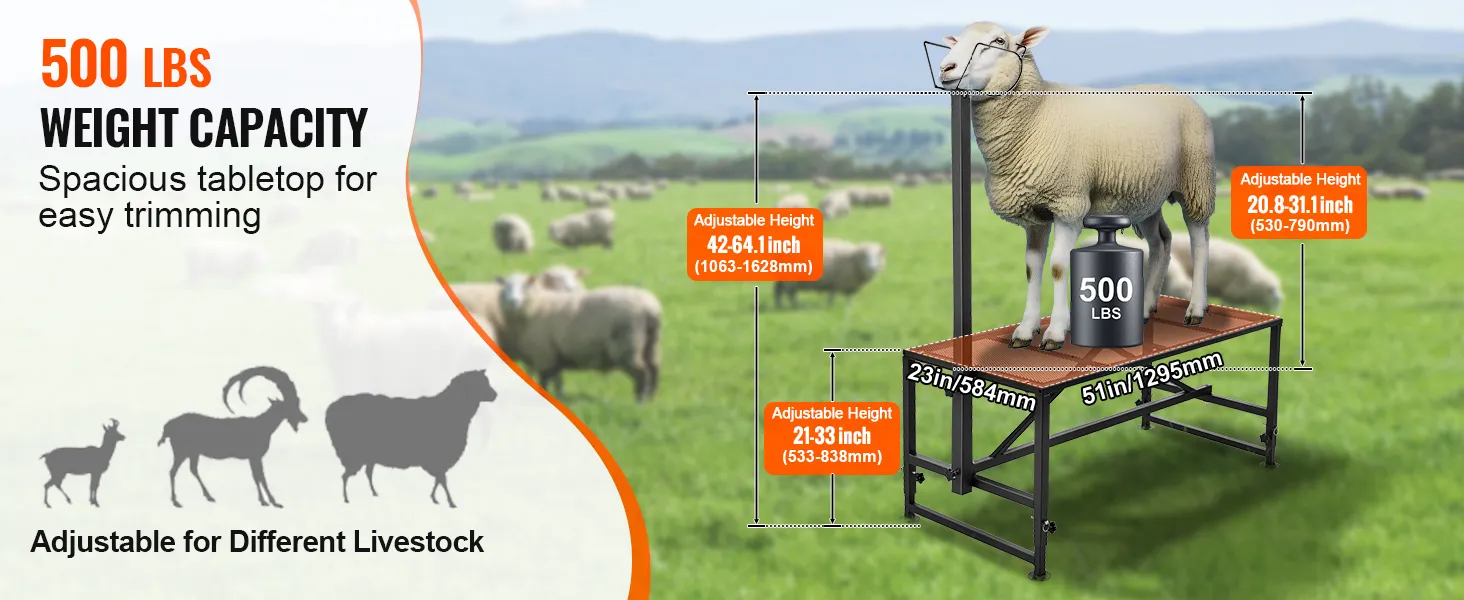 VEVOR goat & sheep stand with 500 lbs capacity, adjustable heights, and spacious tabletop for trimming.