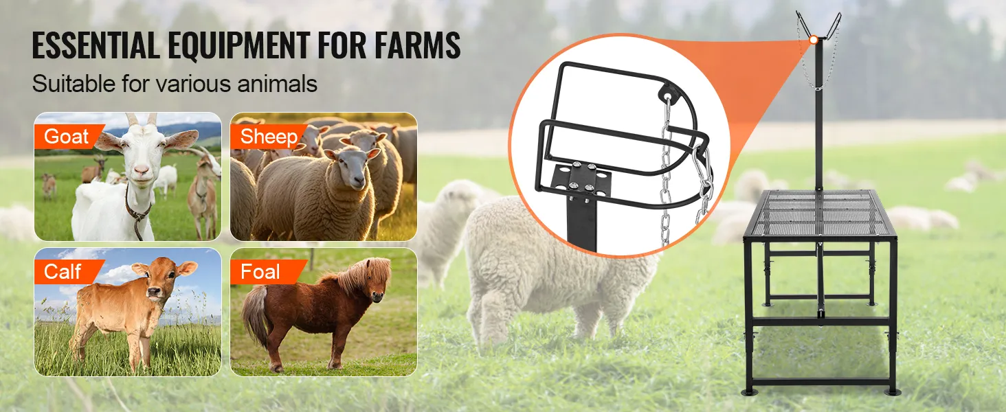 essential farm equipment for goat, sheep, calf, and foal, featuring the VEVOR goat & sheep stand.