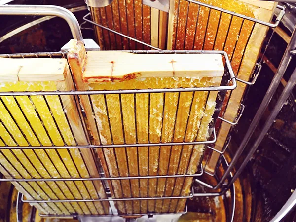 honeycomb frames inside a VEVOR honey extractor, showcasing fresh golden honey.