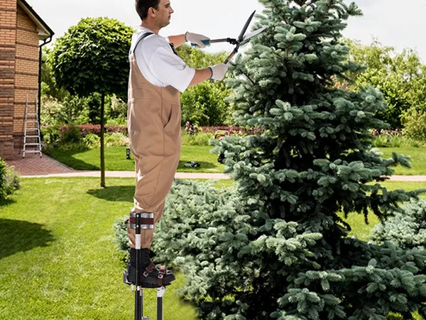 gardener using VEVOR drywall stilts to trim a tall tree in a well-maintained backyard.