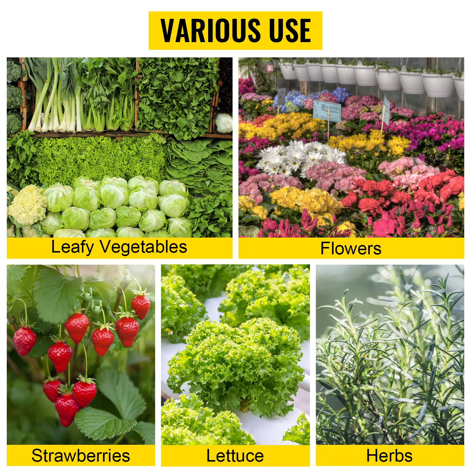 Varios usos para el sistema hidropónico VEVOR: verduras de hoja, flores, fresas, lechuga, hierbas.