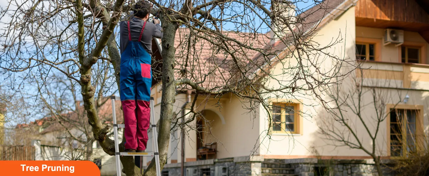 Person, die mit einer VEVOR-Teleskopleiter einen Baum in einem Garten mit einem Haus im Hintergrund beschneidet.