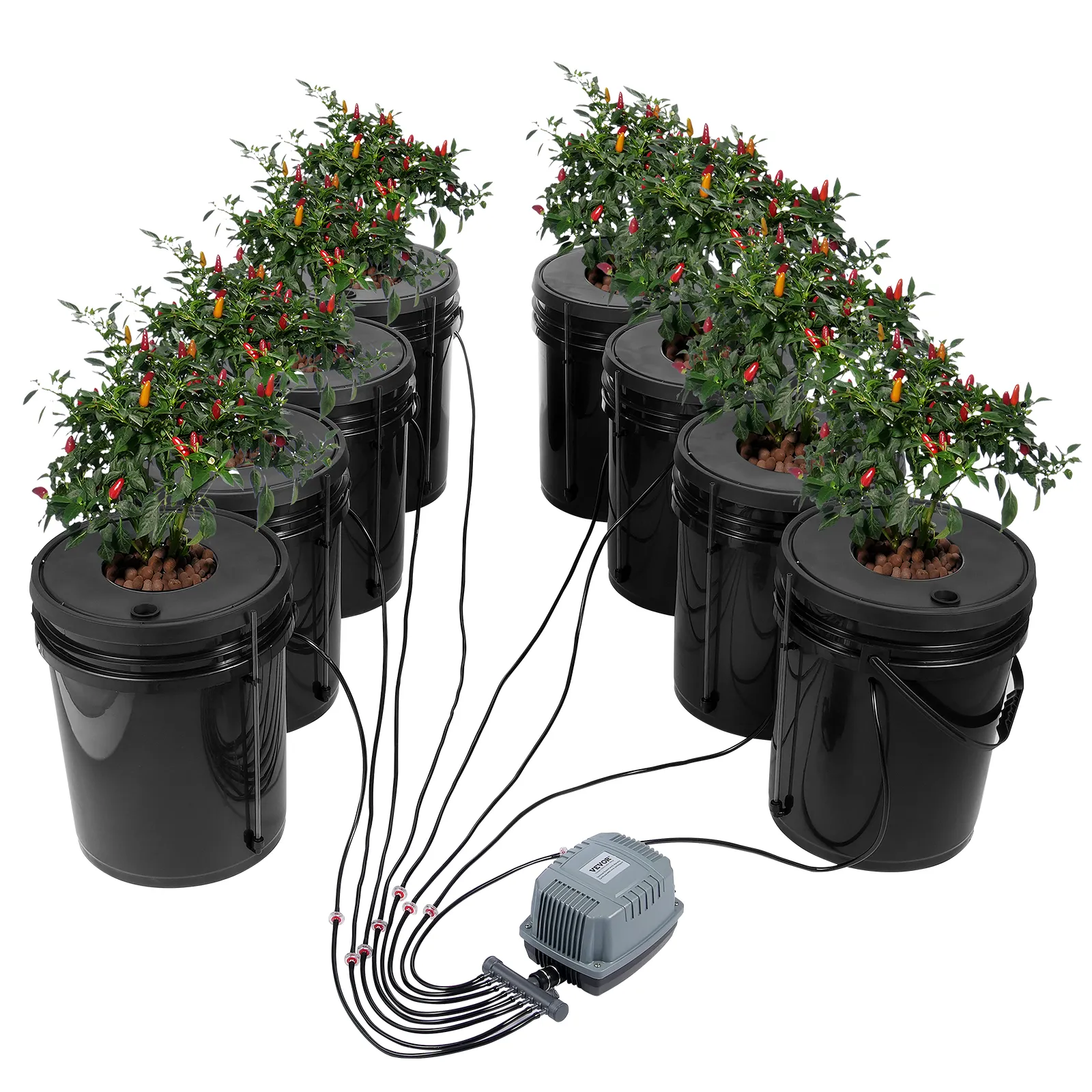 Plantas hidropónicas en cubos negros conectados al sistema hidropónico VEVOR.