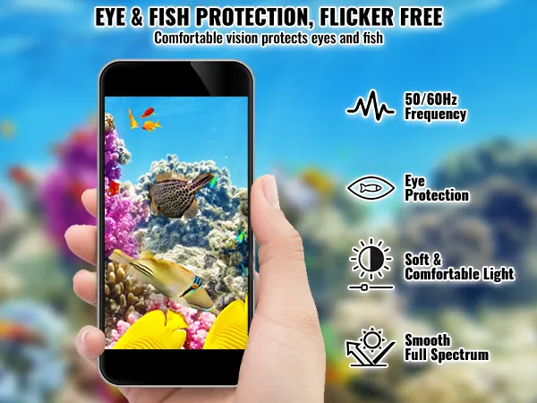 hand holding smartphone with vibrant aquarium display, VEVOR aquarium light benefits: eye & fish protection.