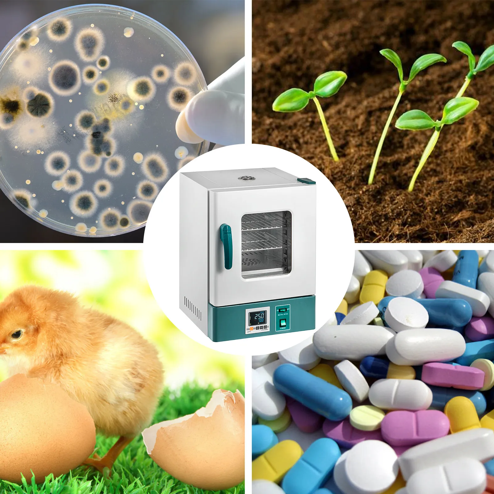 VEVOR lab incubator surrounded by petri dish, seedlings, chick, and assorted pills.