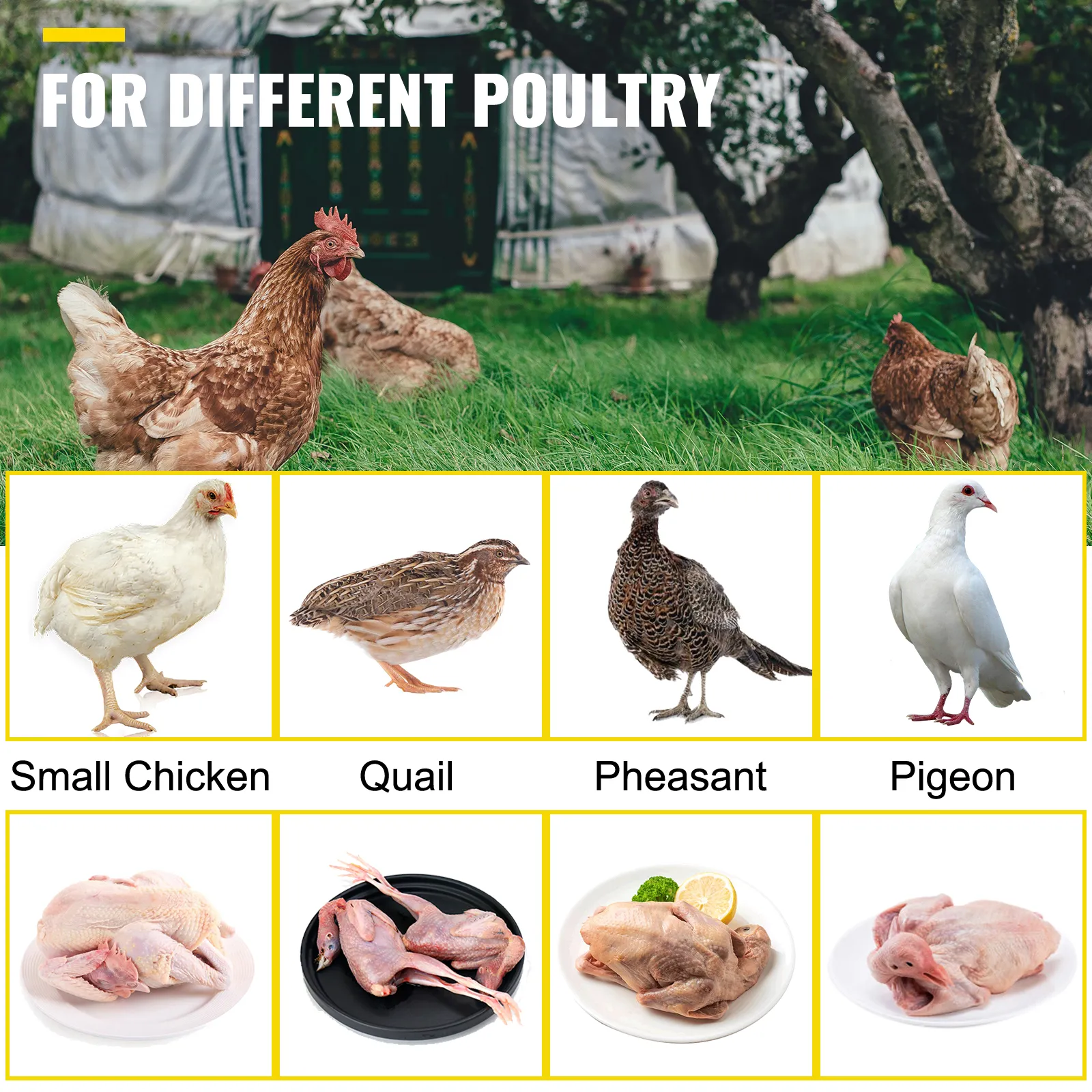 VEVOR chicken plucker for small chicken, quail, pheasant, and pigeon plucking.