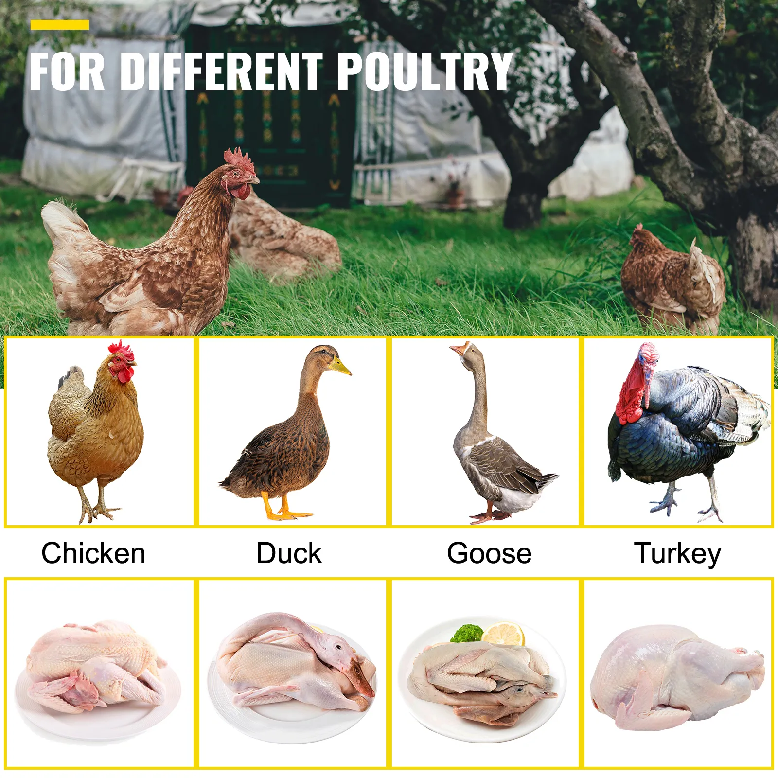 VEVOR chicken plucker for different poultry: chicken, duck, goose, turkey.