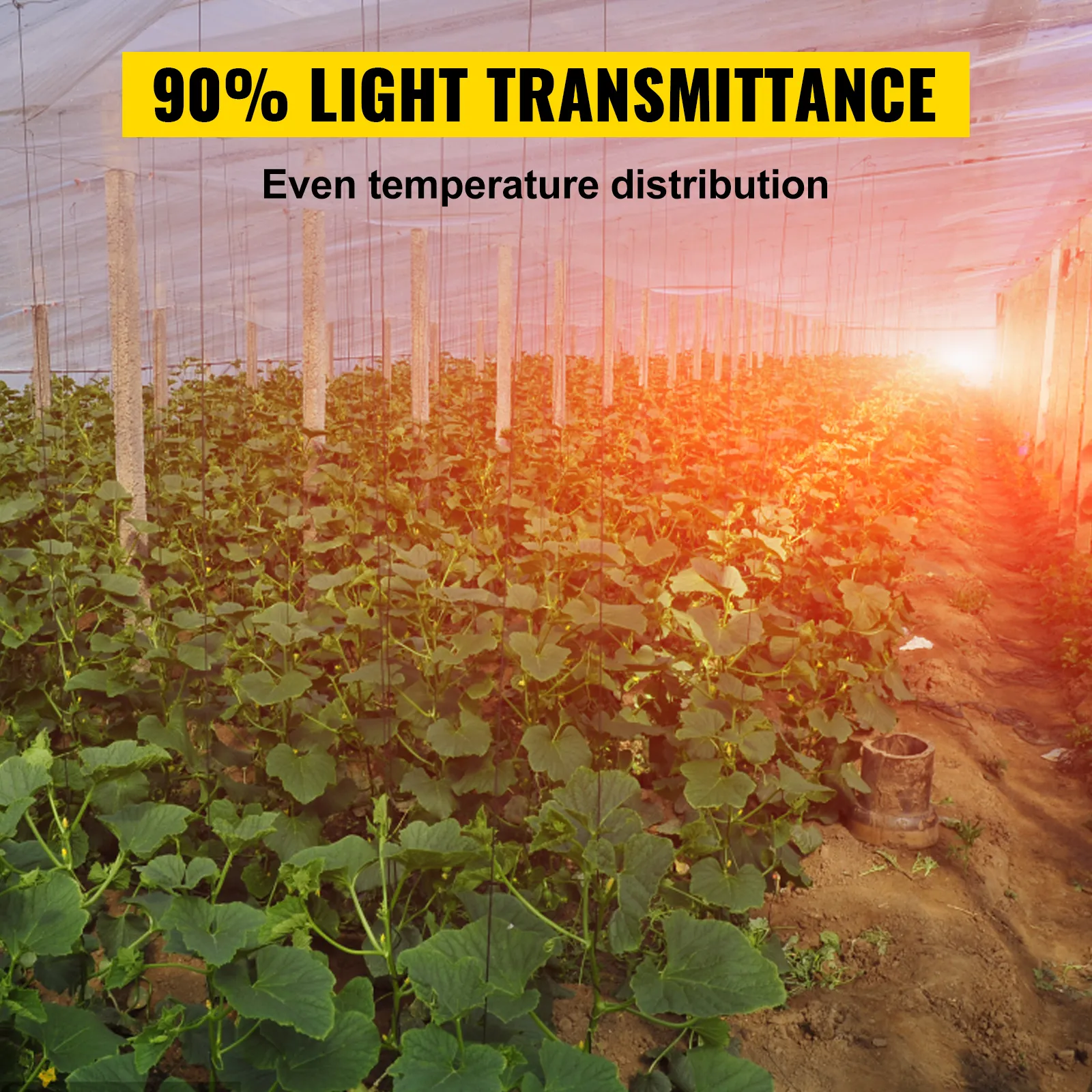 Gewächshausinnenraum unter VEVOR-Gewächshausfolie mit 90 % Lichtdurchlässigkeit.